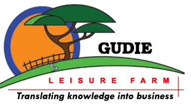 GLF Enterprise System Logo